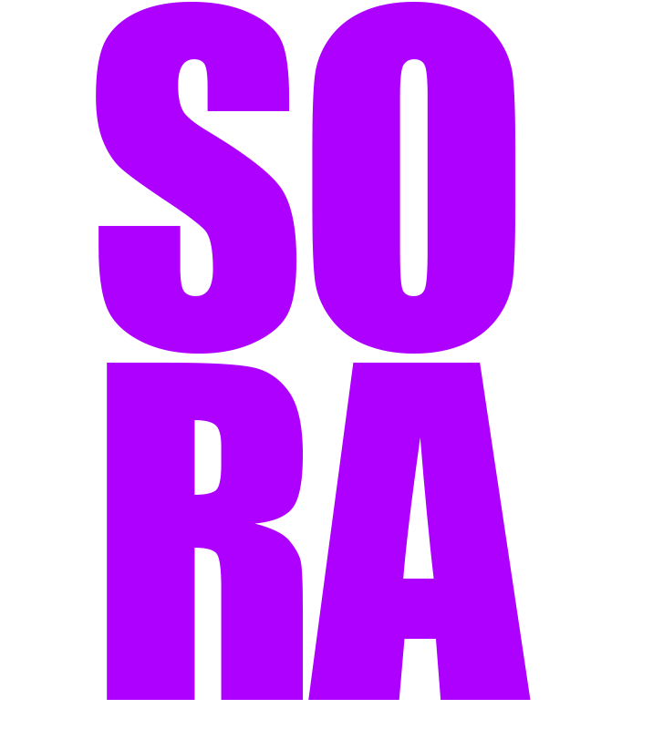 SORA2